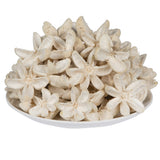 Vickerman 2-3" Bleached Bullet Flower, 50 per Pack