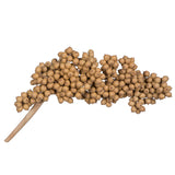 Vickerman Natural Botanicals 6"-8" Canella Special, 6"-8"