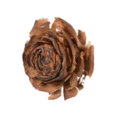 Vickerman Cedar Rose