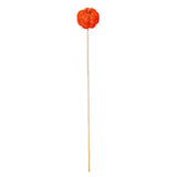 Vickerman Natural Coconut Coir Pumpkin, Dried, 2.5", Orange