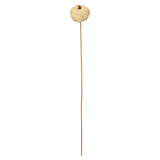 Vickerman Natural Coconut Coir Pumpkin, Dried, 2.5", Bleached