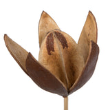 Vickerman Natural Botanicals 20" Lily on Stem