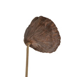 Vickerman Natural Botanicals 20" Lotus Pod Medium on Stem
