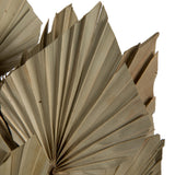 Vickerman Natural Botanicals 20" Palm Spear Natural