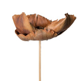 Vickerman 20" Palm Cap on Stem, Dried