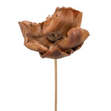 Vickerman 20" Palm Cap on Stem, Dried