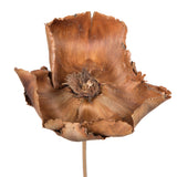 Vickerman 20" Palm Cap on Stem, Dried
