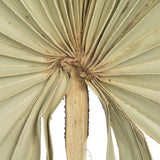 Vickerman 32-40" Natural Dried Palm Leaf, Uncut