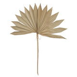 Vickerman Natural Botanicals 20" Palm Sun Spear Natural, 20"