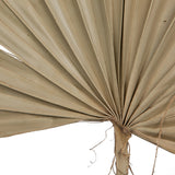 Vickerman Natural Botanicals 20" Palm Sun Spear Natural