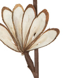 Vickerman Natural Botanicals 32" Natural Dried Sola Chips Sunny Stick