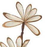 Vickerman Natural Botanicals 32" Natural Dried Sola Chips Sunny Stick