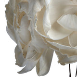 Vickerman Peony Sola Flower