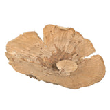 Vickerman Natural Botanicals 4"-6" Sponge Mushroom Medium, 4"-6"