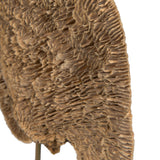 Vickerman 4-6" Sponge Mushroom on 20" Stem