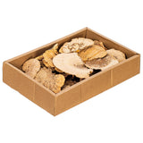 Vickerman Natural Botanicals Dried Assorted 4-6 inch Sponge Mushrooms, Natural