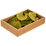 Vickerman Natural Botanicals Dried Assorted 4-6 inch Sponge Mushrooms, Basil