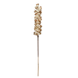 Vickerman Natural Botanicals 24" Natural Dried Sola Scrape Skin Cone, 24"