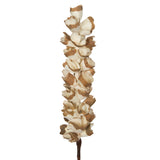 Vickerman Natural Botanicals 24" Natural Dried Sola Scrape Skin Cone