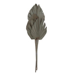 Vickerman Natural Botanicals 21" King Palm Spear, Natural