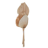 Vickerman Natural Botanicals 21" King Palm Spear, Bleached