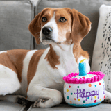 Huxley & Kent Dog Power Plush Happy Birthday Barkday Cake Plush Dog Toy