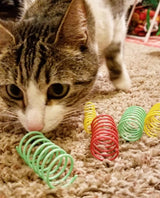 Colorful Springs Cat Toys, 10-Pack