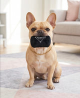 Haute Diggity Dog Pawda Handbag Plush Dog Toy