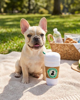 Haute Diggity Dog Starbarks Coffee Cup with Lid Plush Dog Toy