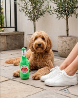 Haute Diggity Dog Stella Arftois Beer Bottle Plush Dog Toy