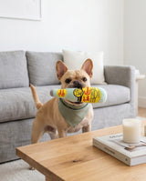 Haute Diggity Dog Topo Chiwawa Bottle Plush Dog Toy