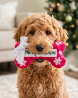 Haute Diggity Dog Puppermint Bone - Merry Plush Dog Toy