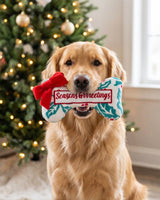Haute Diggity Dog Holly Print Bone - Seasons Grrreetings Plush Dog Toy