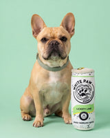 Haute Diggity Dog White Paw - Lickety Lime Plush Dog Toy