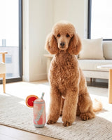 Haute Diggity Dog Pawloma Plush Dog Toy