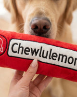 Haute Diggity Dog Chewlulemon Yoga Mat Plush Dog Toy
