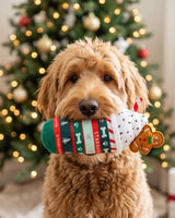 Haute Diggity Dog Starbarks Ginger Bark Latte Holiday Plush Dog Toy