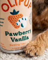 Haute Diggity Dog Olipup - Pawberry Vanilla Plush Dog Toy