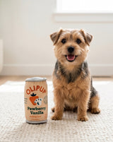 Haute Diggity Dog Olipup - Pawberry Vanilla Plush Dog Toy