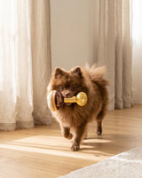 Haute Diggity Dog Espresso Muttini Plush Dog Toy