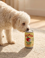 Haute Diggity Dog Olipup Soda Grrrisp Apple Plush Dog Toy