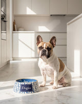 Haute Diggity Dog Dogior Bowls (Set of 2 Bowls)