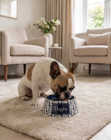 Haute Diggity Dog Dogior Bowls (Set of 2 Bowls)