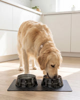 Haute Diggity Dog Black Checker Chewy Vuiton Bundle (Set of 2 Bowls & Mat)