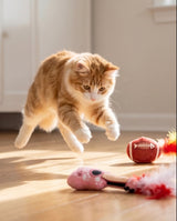 Haute Diggity Kitty Kitty Era Tour Organic Catnip Cat Toy