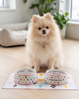 Haute Diggity Dog White Chewy Vuiton Bundle (Set of 2 Bowls & Mat)