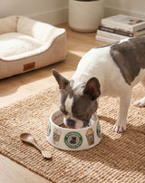 Haute Diggity Dog Starbarks Bowls (Set of 2 Bowls)