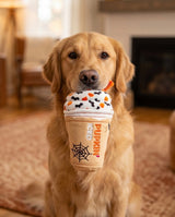 Haute Diggity Dog Pupkin' Donuts Halloween Iced Cup Plush Dog Toy