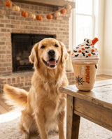 Haute Diggity Dog Pupkin' Donuts Halloween Iced Cup Plush Dog Toy