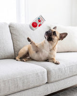 Haute Diggity Dog Puppi Grrranberry Fizz Plush Dog Toy